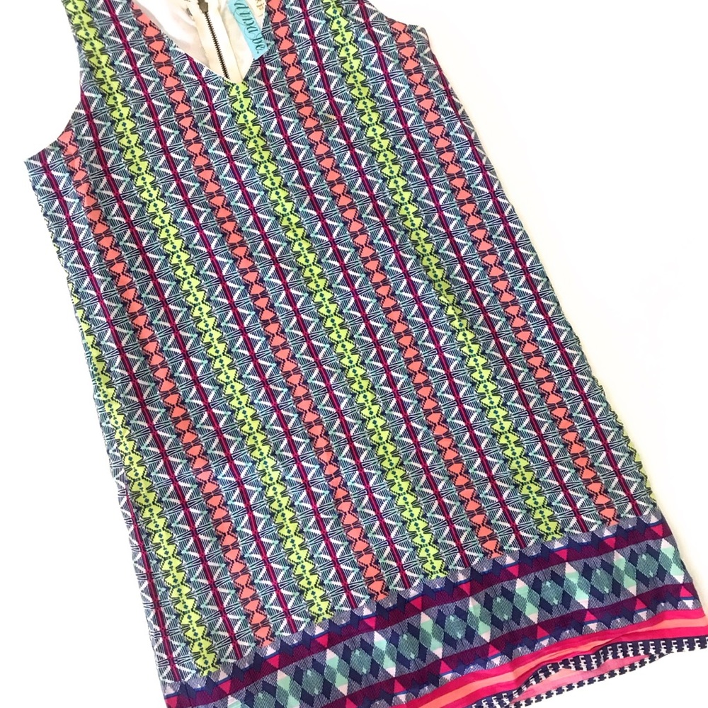 Francesca’s Geometric Shift Dress